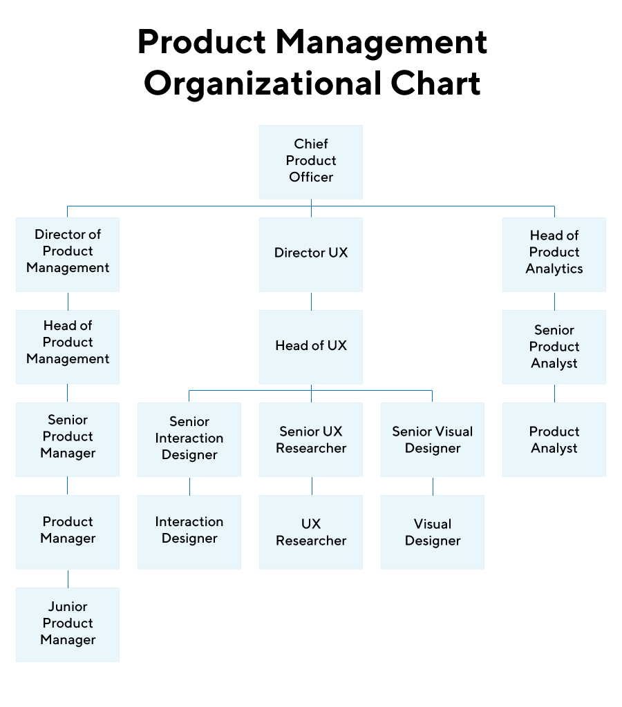 Product Management Org Chart
