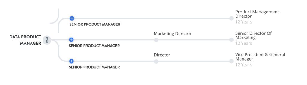 Data Product Manager Career Path